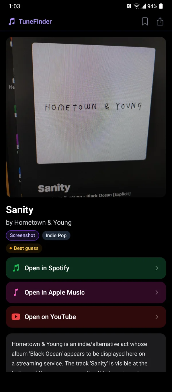 A TuneFinder result page identifying the song "Sanity" by Hometown & Young from a screenshot of an album cover, with direct links to Spotify, Apple Music, and YouTube